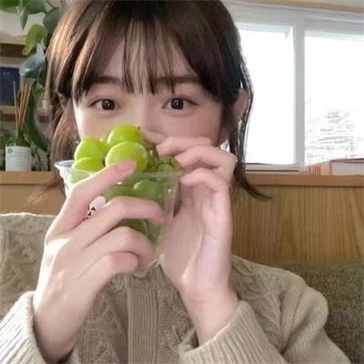 女王鲨